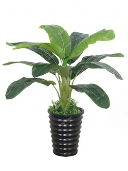 בונסאי קישוט פרח מקורה פלסטיק אנטי אמיתי בשטח ירוק צמח מלאכותי בונסאי קישוט עץ גודל