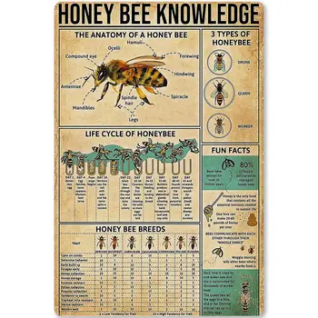 דבורה הידע מתכת פח לחתום מידע על דבורים תרשים פוסטר עבור בית הספר לחינוך בבר-קפה מועדון הביתה קיר המטבח 8x12 ב