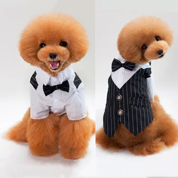 חיות מחמד כלב חתול בגדים הנסיך טוקסידו עניבת חליפת הצ ' יוואווה מעיל יפה חיות מחמד כלב חליפת חתונה שמלת אוברול המעיל S-XXL