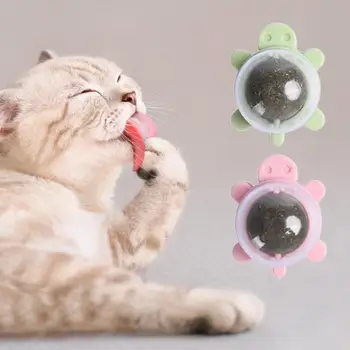 ידידותי לסביבה חתול מצחיק חתולים צעצוע ניקוי שיניים קיר מתייחס חתול קיר מתייחס מזיק חריקת שיניים