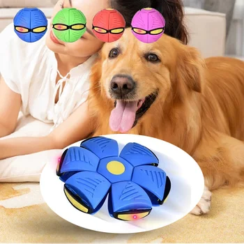 כלב מחמד צעצועים מעופפת, כדור קסם עיוות טיסה צעצועים חיצוני ספורט אילוף כלבים ציוד כלב משחק לילדים מתנה