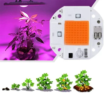 ספקטרום מלא צמח אור על מקורה גידול צמחים 20W 30W 50W LED COB חרוז שבב AC220V צמח ילדים ופרח צמיחה תאורה