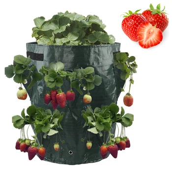 רב-הפה לגדול תיק 5/7/10 ליטר תות שדה עגבניות נטיעת שקיות לשימוש חוזר גינות מרפסות פרח צמח בעציץ